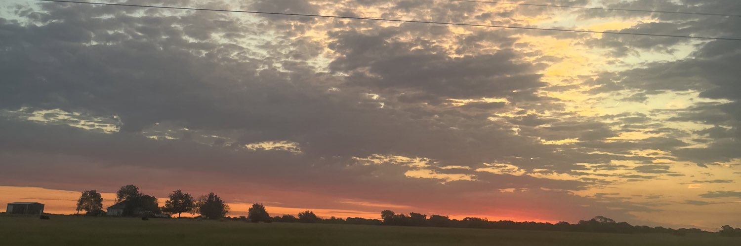 SimsJaylee's profile banner image