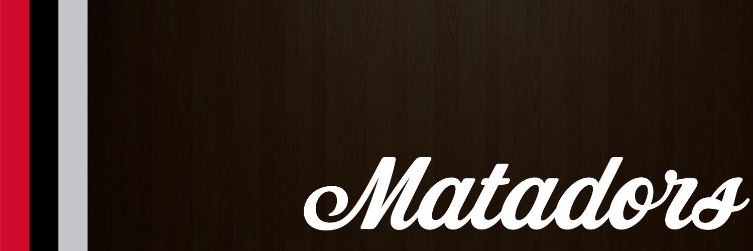 CSUN Women’s Volleyball banner