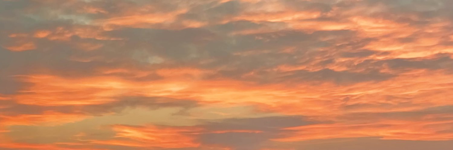 holliloveee's profile banner image