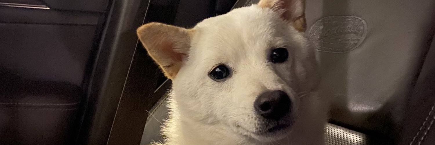 NoMoreBankss's profile banner image