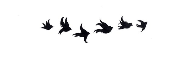 brayanhoule Profile Banner