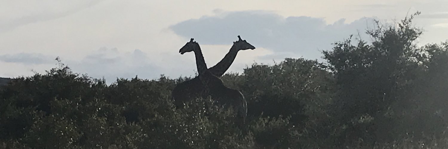 Menannn1's profile banner image