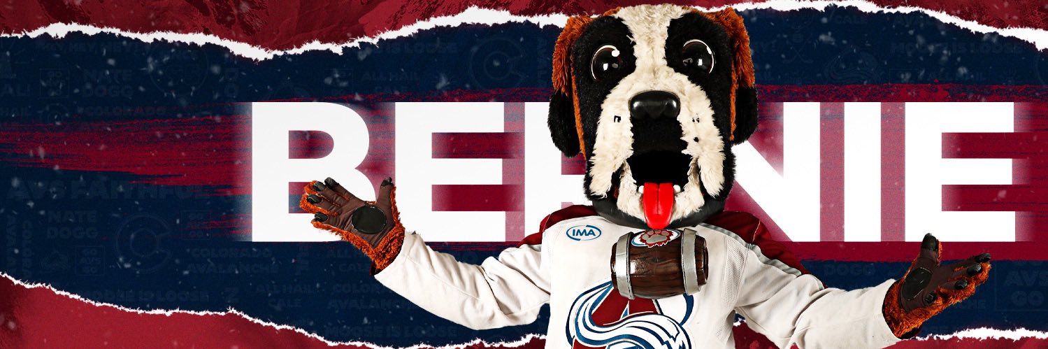 Bernie's banner