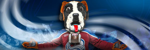 AvsBernie Profile Banner
