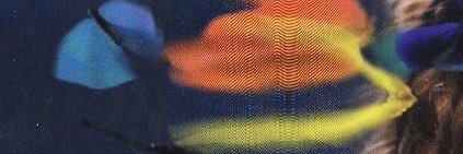 kapierces's profile banner image