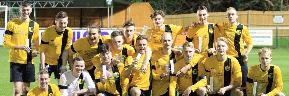 AFC Bookham banner