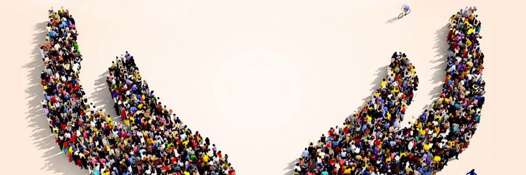 designharvard's profile banner image