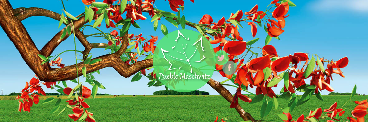 pueblomaschwitz's profile banner image