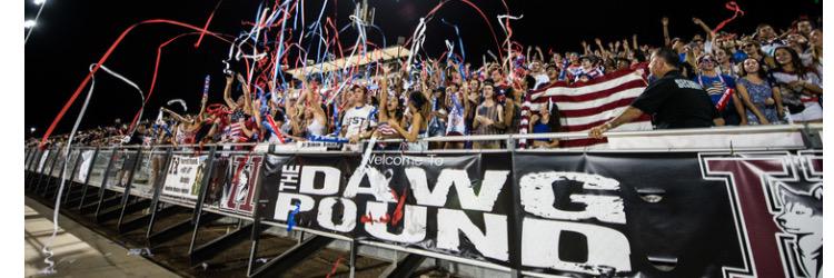 Hamilton Dogg pound banner