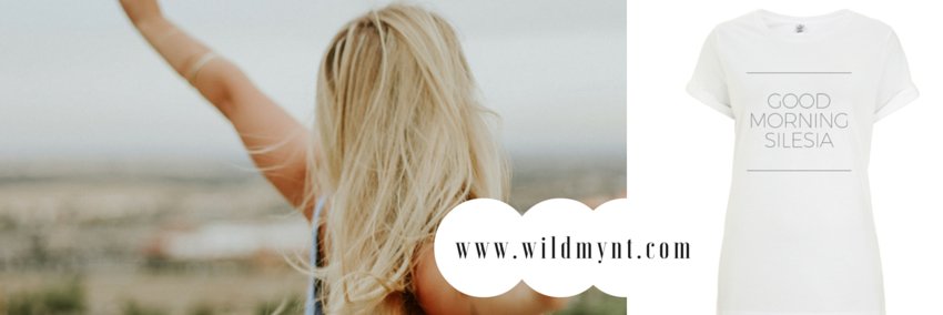 Wildmynt's profile banner image