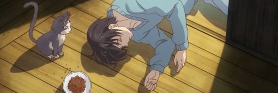 Stephen Rollo banner