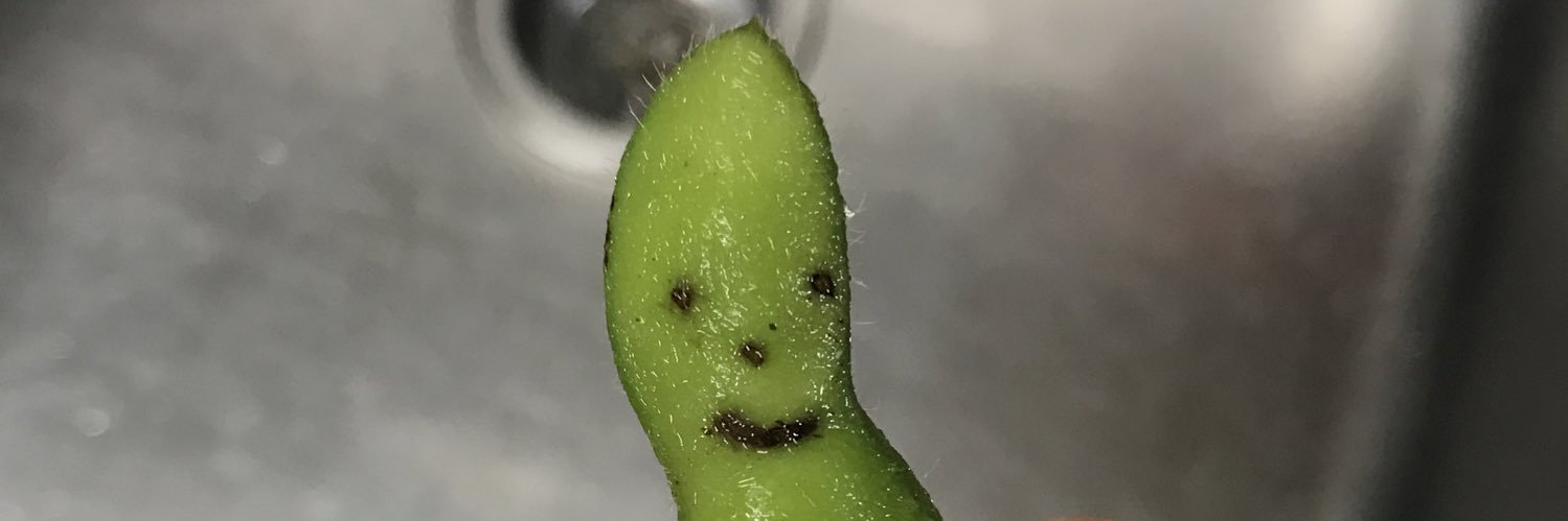 bauif's profile banner image