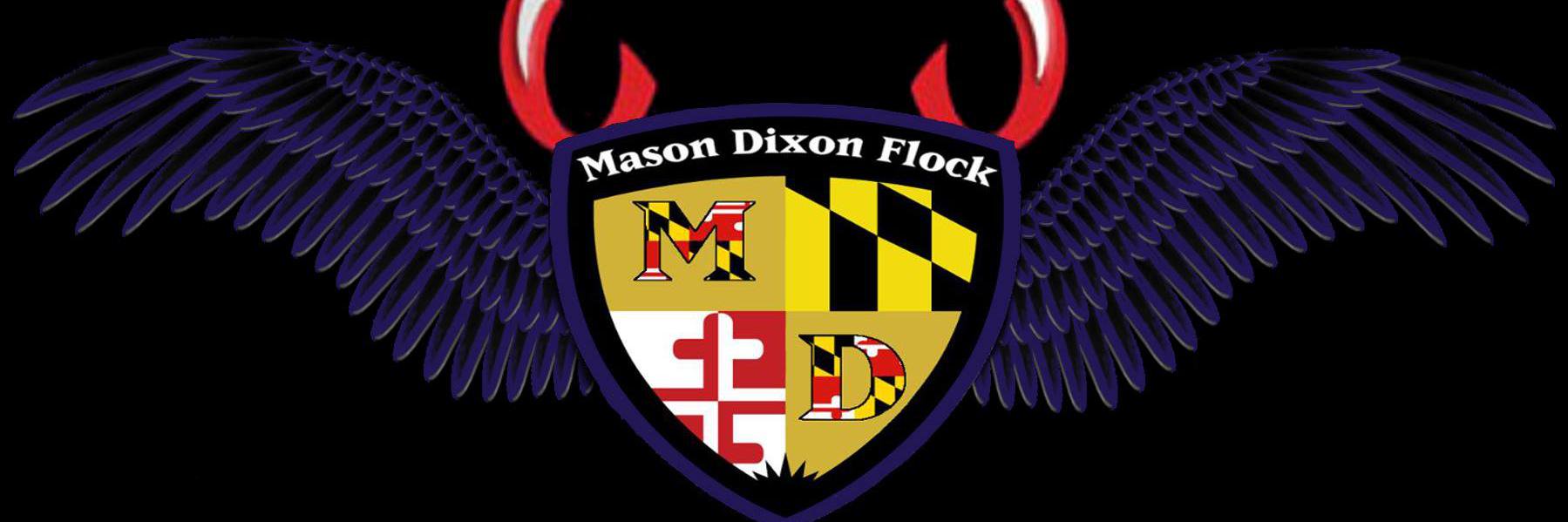 MasonDixonFlock's profile banner image