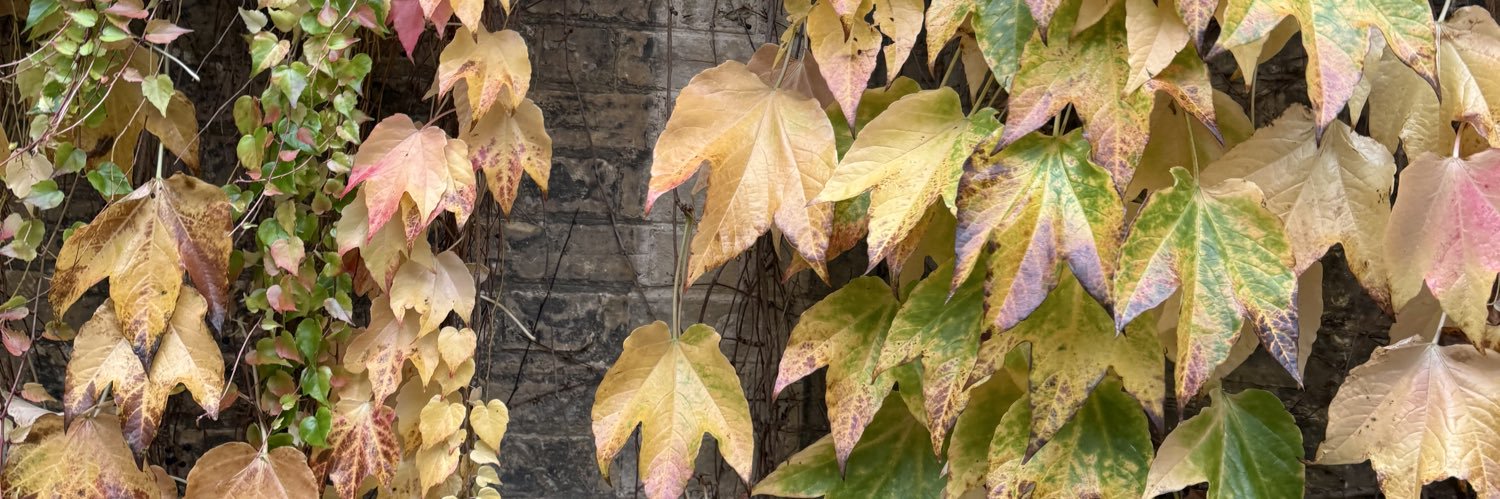 aims ꔛ𖤐˒˒ banner