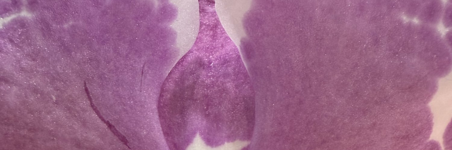 htentenn's profile banner image
