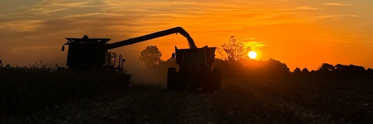 NicoArdu's profile banner image