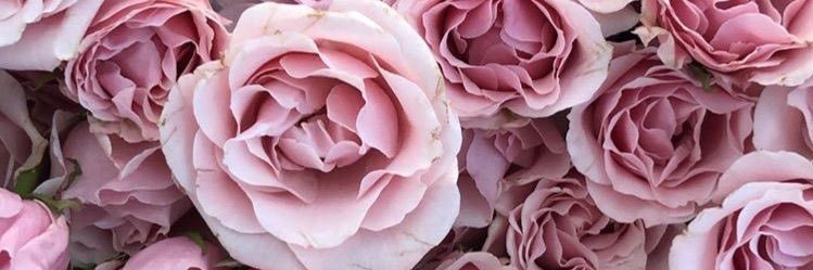 Bryony_Wright's profile banner image