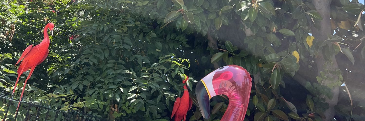 hnryprz's profile banner image