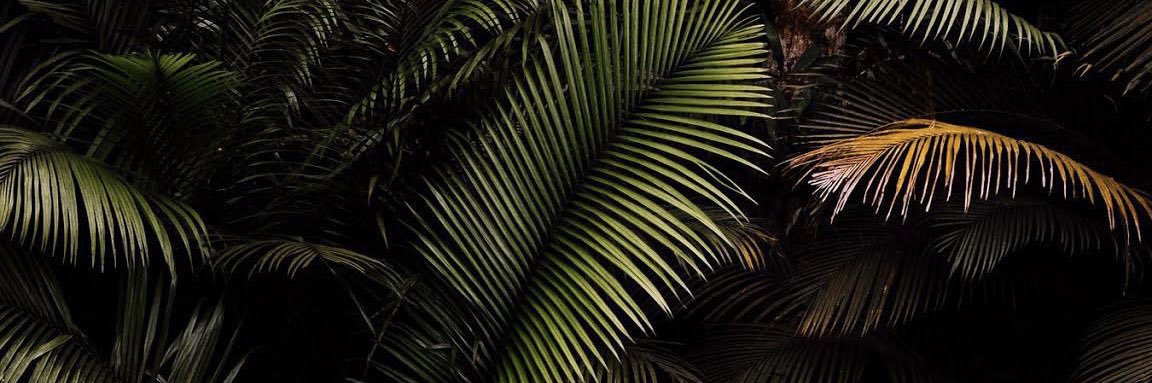 mbloomq1's profile banner image