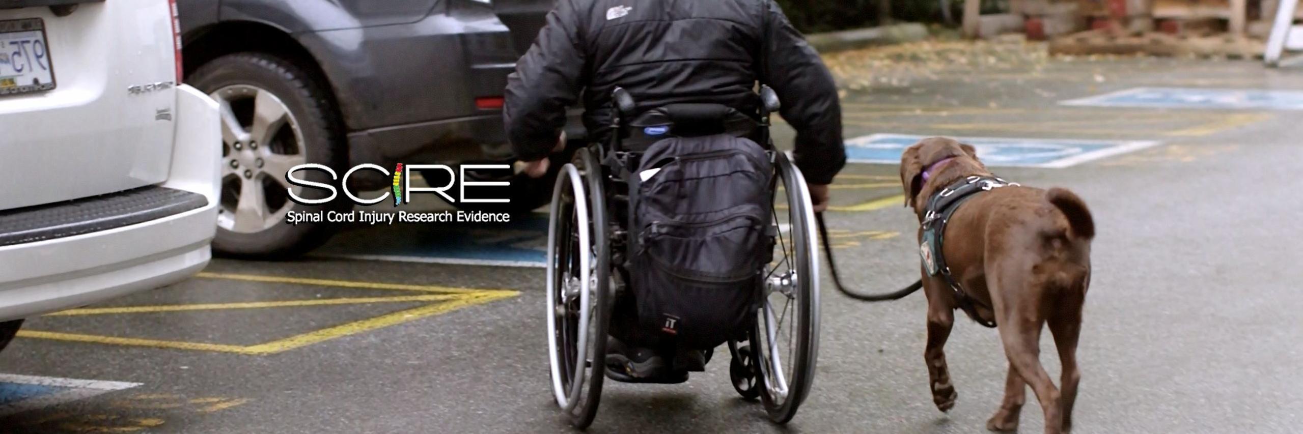 SCIRE Professional banner