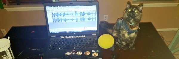 RoamingReignz Profile Banner