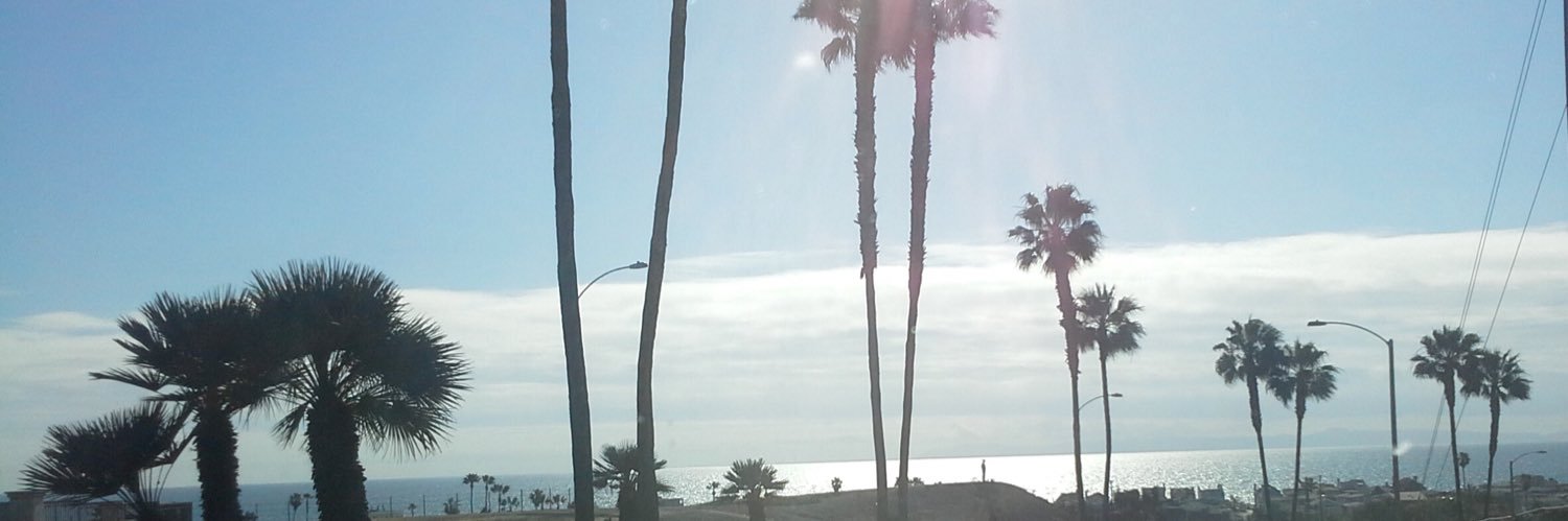 suzettelm8's profile banner image