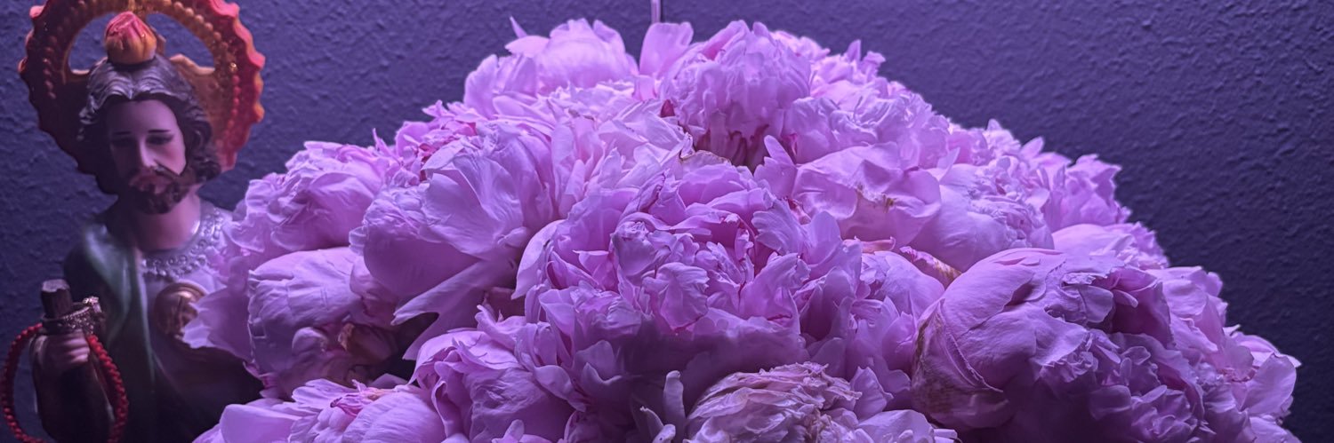Angelicaaxm's profile banner image