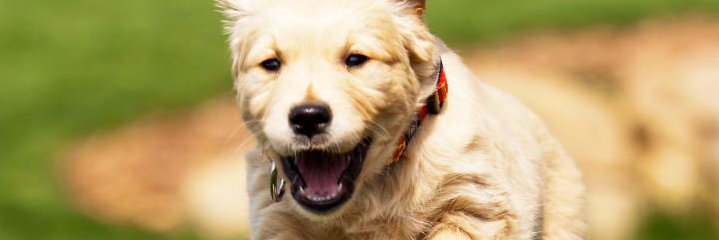 Jalissatheory's profile banner image