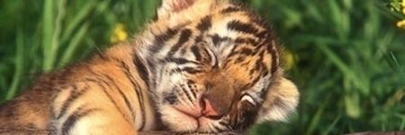 jeannery24's profile banner image