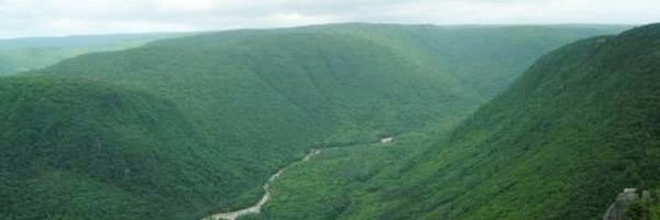 JohnRKenney Profile Banner