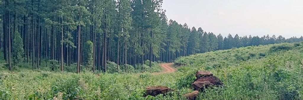 nwamhelembe's profile banner image