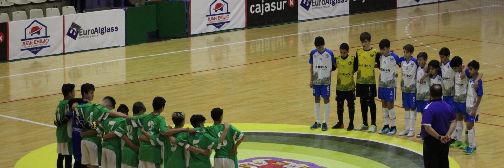 AAFSFutsal's profile banner image