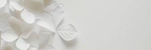 totsh88's profile banner image