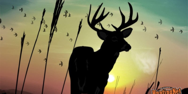DeerHuntingLife's profile banner image