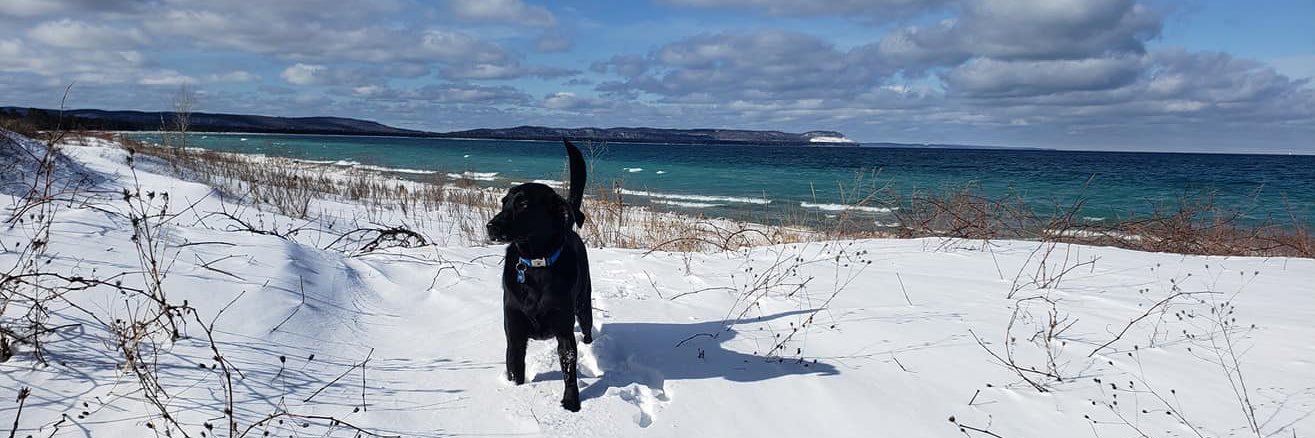 jake_harrison2's profile banner image