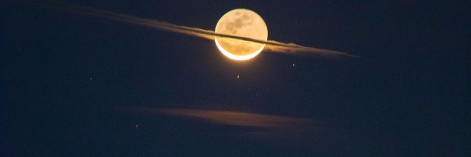 tanilfb's profile banner image