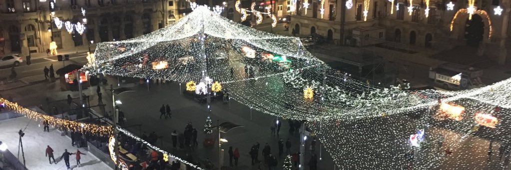 Andreea Marinica banner