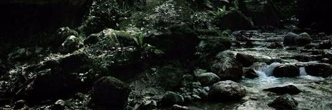 readit_writenow's profile banner image