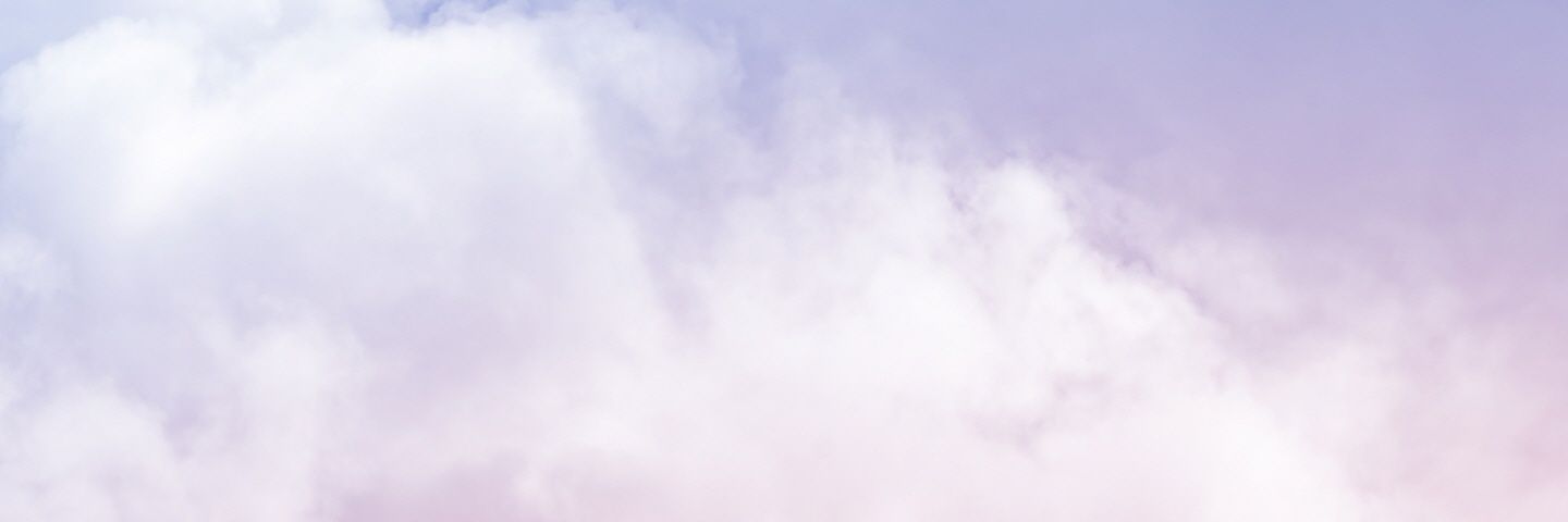 프링글 banner