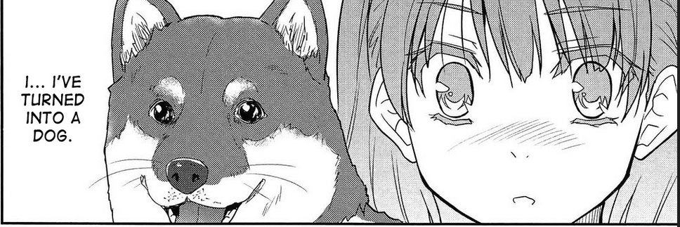 AFluffyDog's profile banner image