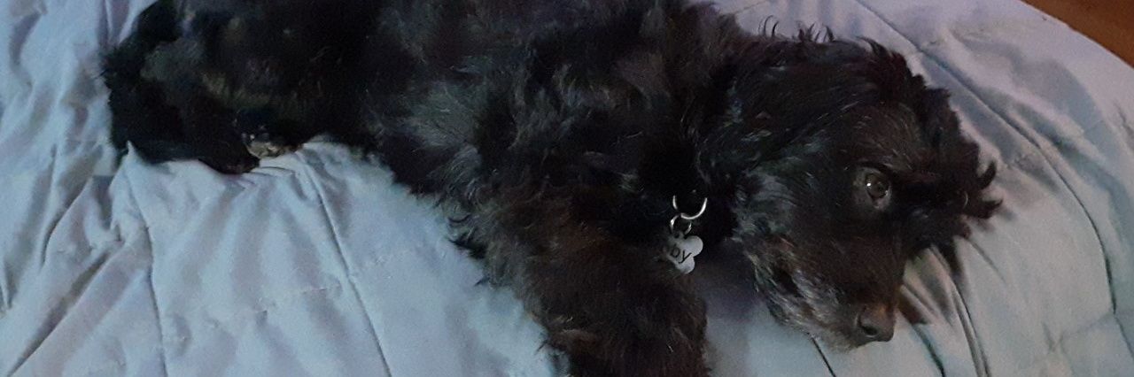 jamesembrace's profile banner image