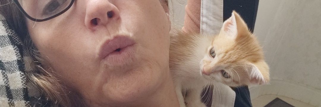 micarminati's profile banner image