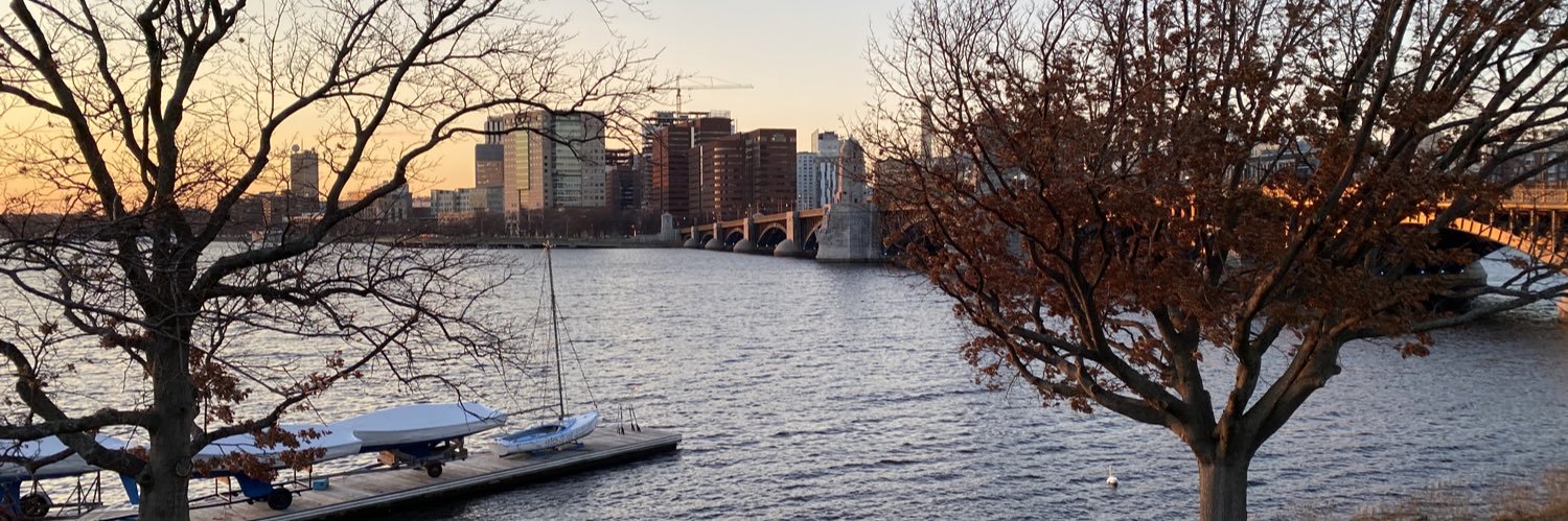 Claudia Marino banner