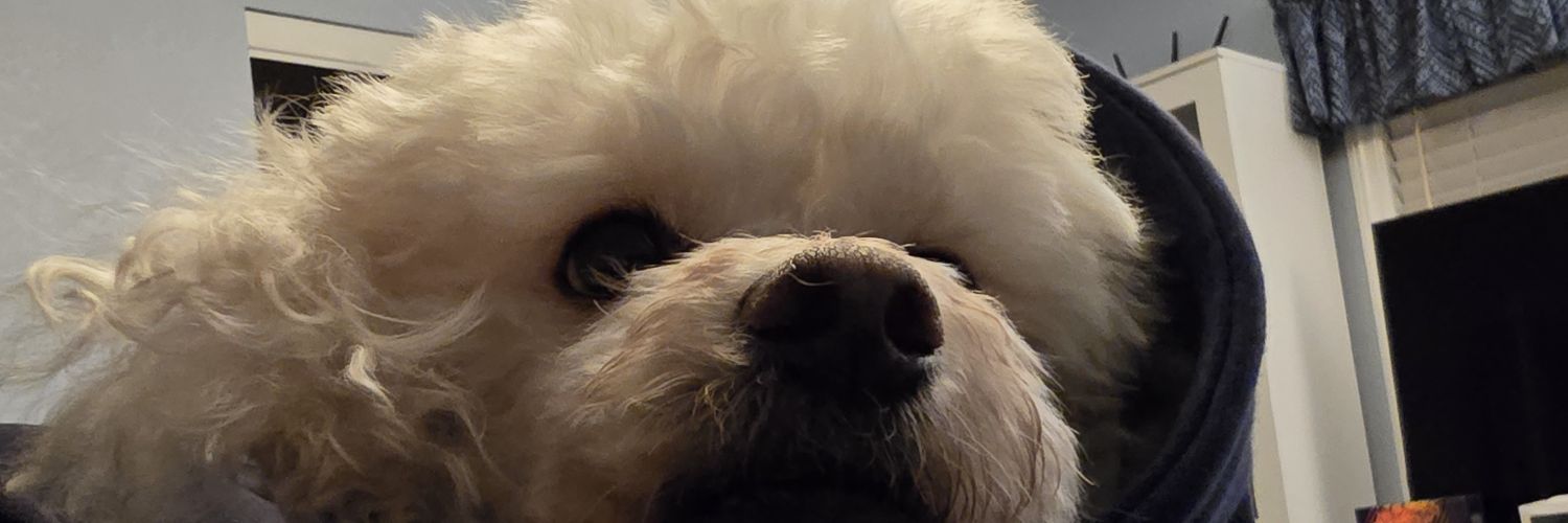 buizley's profile banner image
