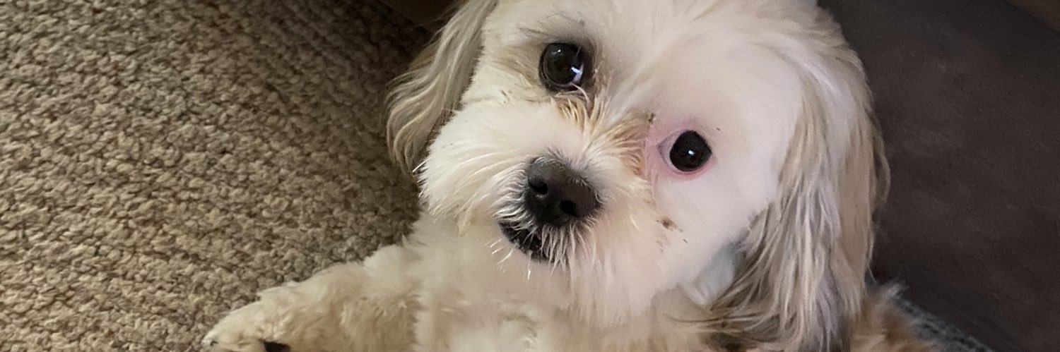 hollyspp's profile banner image