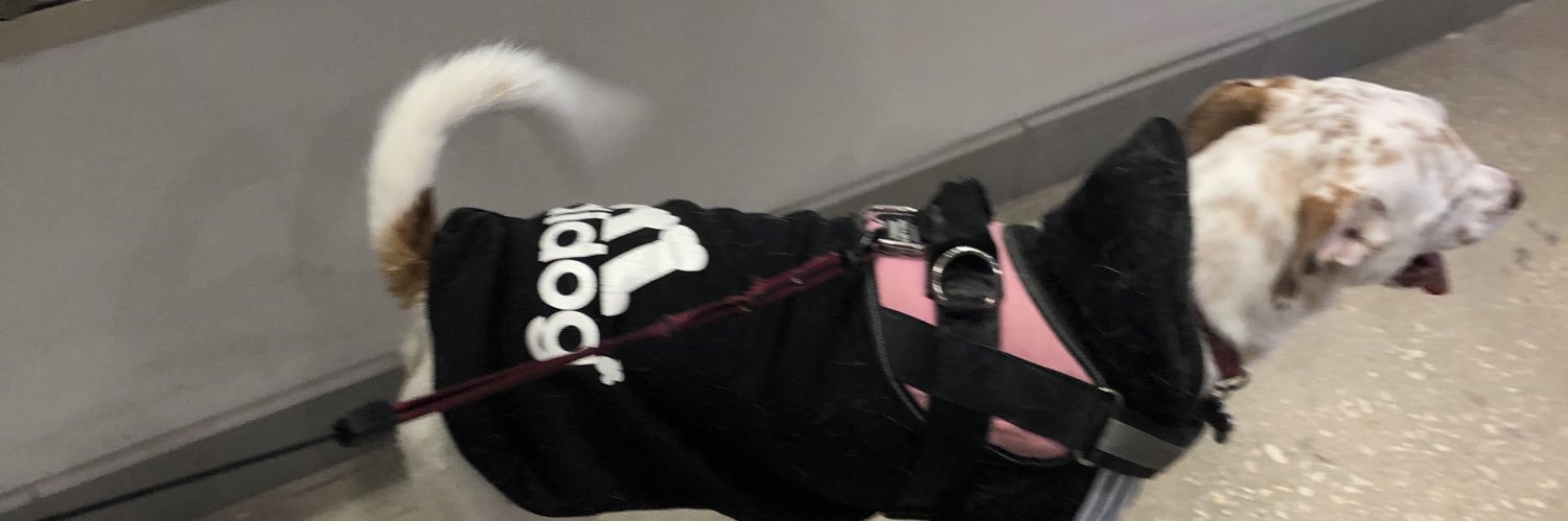 KaylaJ67's profile banner image
