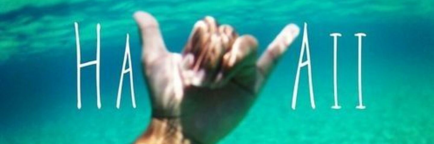 4evrScwl banner