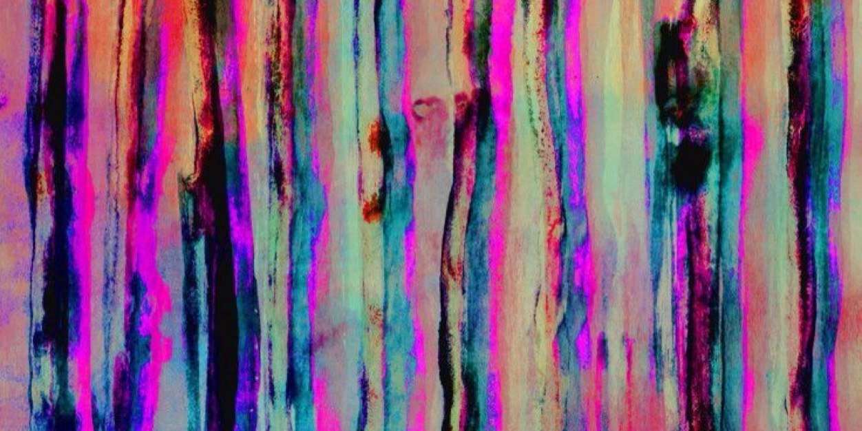 anesiabaugh's profile banner image