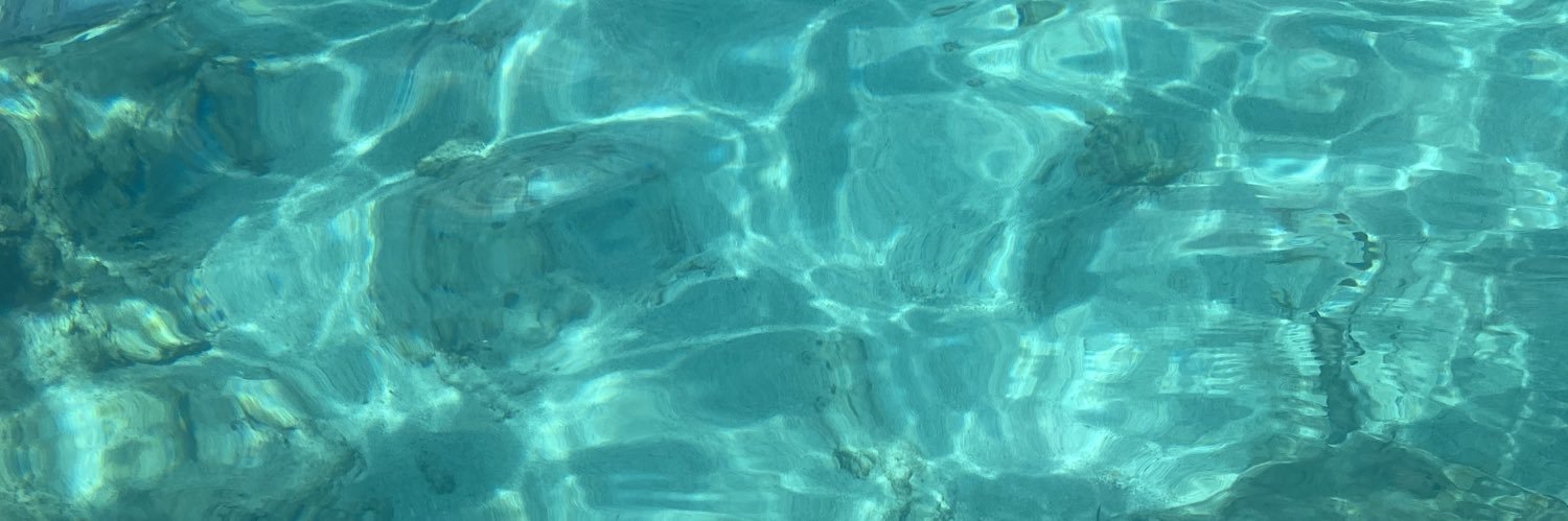 sharon__n's profile banner image