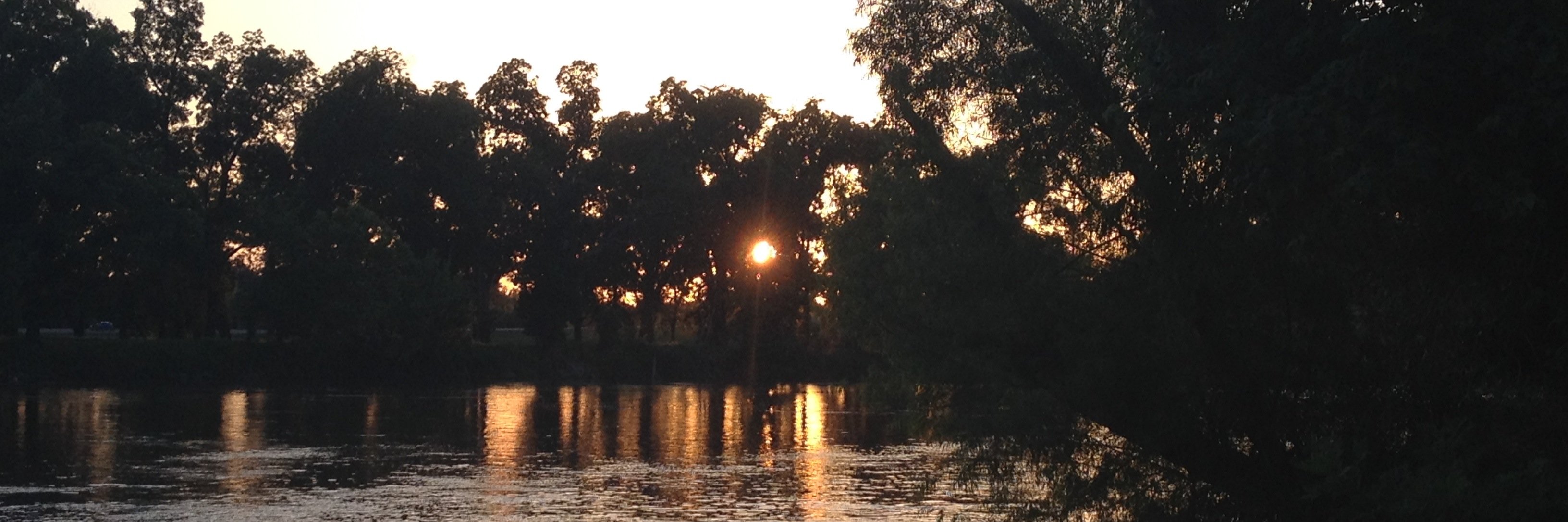 John P. Bowes banner